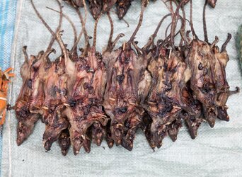 gebratene-ratten-auf-markt-83173128.jpg
