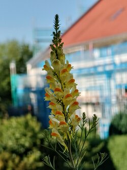IMG20250622180200~2.jpg