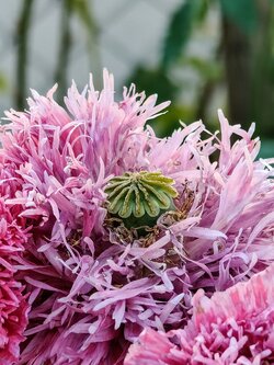 IMG20250622180401~2.jpg