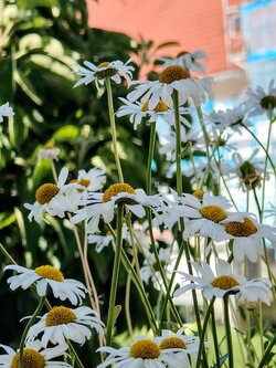 IMG20250622180229~2.jpg