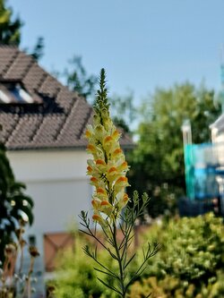 IMG20250622180211~2.jpg
