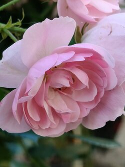 IMG20250622180346~2.jpg