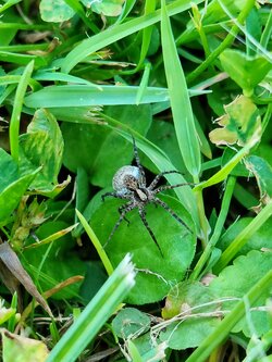 IMG20250622195445~2.jpg