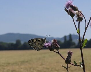 20250622_112616.jpg