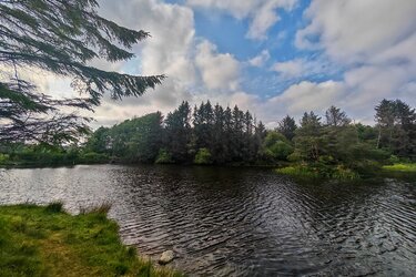 IMG_20250617_182407.jpg