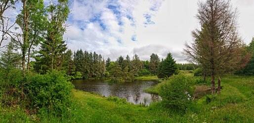 IMG_20250618_073915 (1).jpg