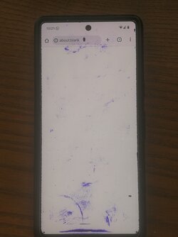 0b372816-03ef-49d0-a7c4-86722daf02c5-1_all_17660.jpg