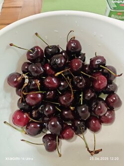 IMG_20250623_122013.jpg