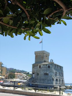 IMG_20250619_124542.jpg