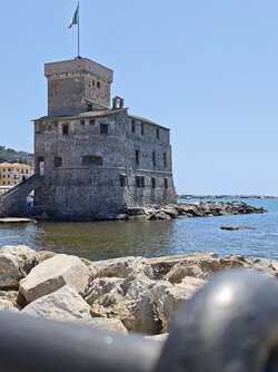 IMG_20250619_123958.jpg