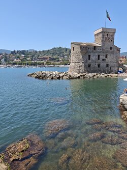 IMG_20250619_125316.jpg