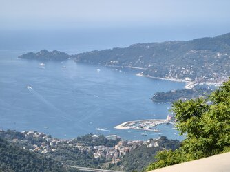 IMG_20250620_110758.jpg