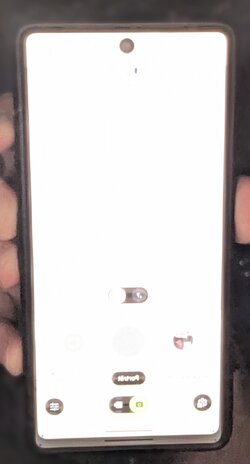 1000085117.jpg