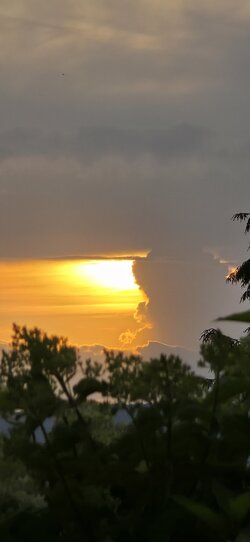 20250622_205516.jpg