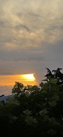 20250622_205531.jpg