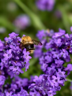 IMG_20250623_175612.jpg