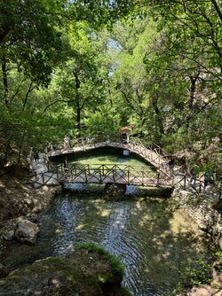 IMG_20250610_140626.jpg