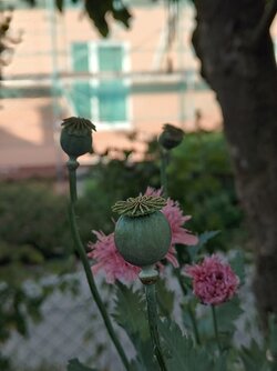 IMG20250623184836~2.jpg