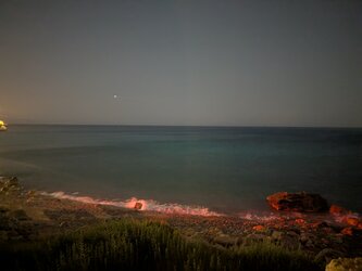 PXL_20250609_202634581.NIGHT.jpg