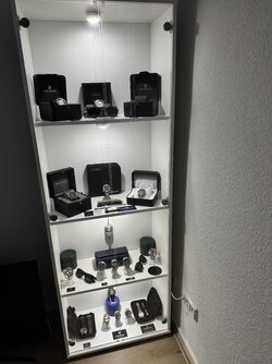 IMG_2737.jpeg