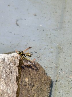 IMG_20250615_133719.jpg