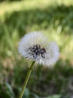IMG_20250619_151150.jpg