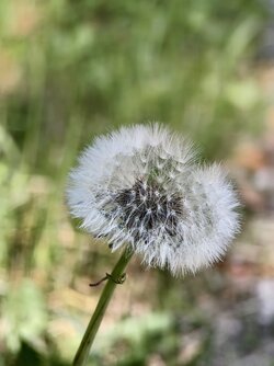 IMG_20250619_151203.jpg