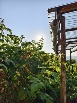IMG_20250619_193517.jpg