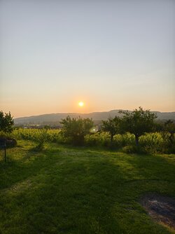 IMG_20250619_204621.jpg