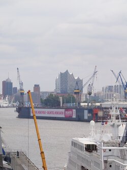 20250624_130717120.JPG