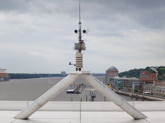 20250624_130553026.JPG