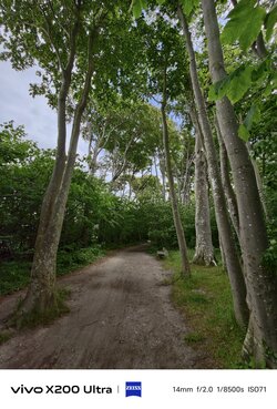 IMG_20250624_163230.jpg