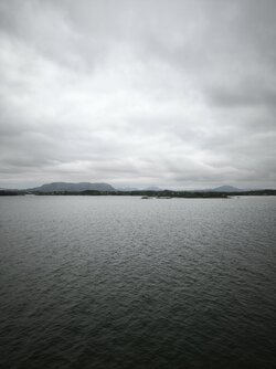 IMG_20250625_091935.jpg