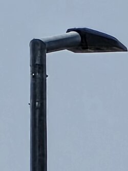 20250625_115922.jpg