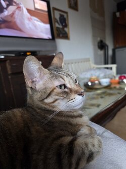 20250624_211343.jpg