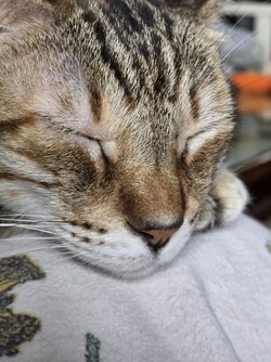 20250624_210914.jpg