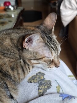 20250624_210434.jpg