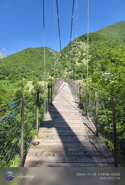 IMG_20250625_110451.jpg