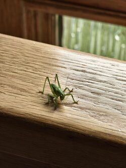 IMG_20250616_112832.jpg