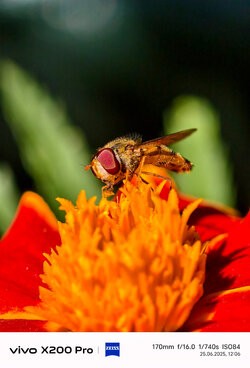 IMG_20250625_120612.jpg