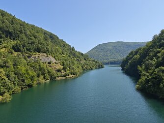 IMG_20250625_105812.jpg