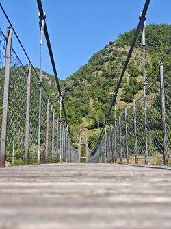 IMG_20250625_110159.jpg