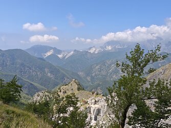 IMG_20250625_131845.jpg