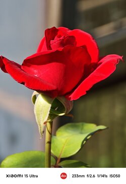 IMG_20250625_172913.jpeg