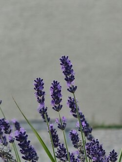 IMG20250625211344~2.jpg