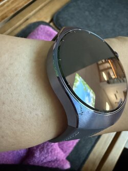 IMG_2941.jpeg