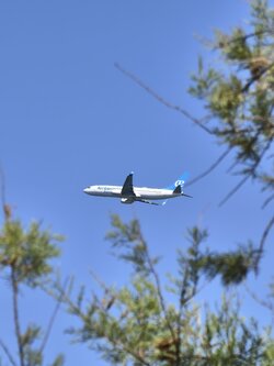 IMG_20250623_105103_1.jpg