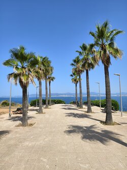 IMG_20250624_110400.jpg
