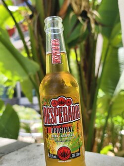 IMG_20250624_132944.jpg