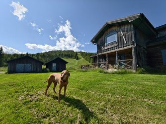 IMG_20250626_134816.jpg